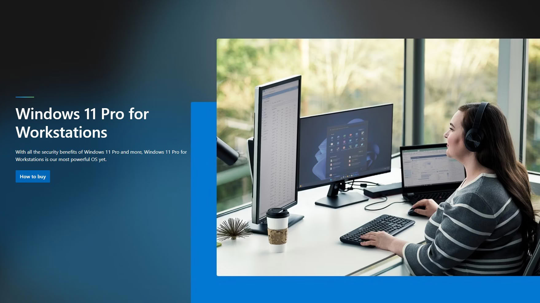 The Curious Case of Windows 11 Pro for Workstations: Basically Windows 11 