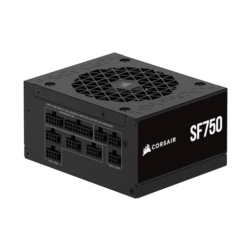 SF Platinum 2024 (ATX 3.1)
